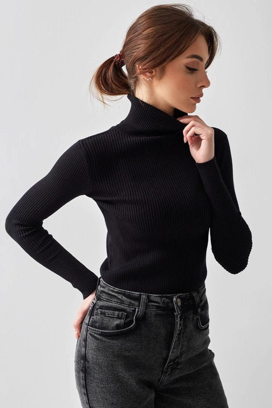 Slim Fit Knit Turtleneck Sweater